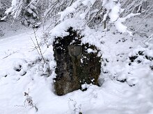 11 IMG_2748