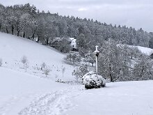 13 IMG_2751