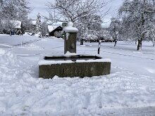 15 IMG_2755