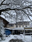 17 IMG_2756