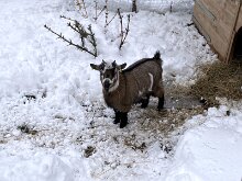 19 IMG_2758