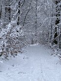 20 IMG_2761