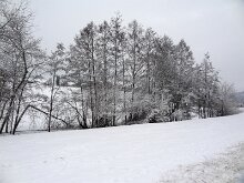 3 DSC07444