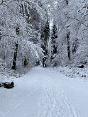 5 IMG_2742