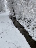 6 IMG_2743