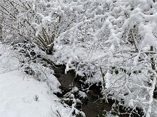 8 IMG_2744