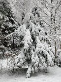 9 IMG_2745