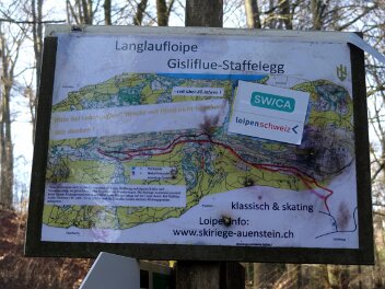 Frühlingswanderung Gisliflue Tourenleiter: Jörg Wochele