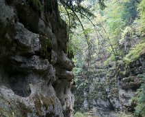 Twannbachschlucht(14)