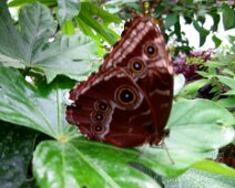 IMG_3215
