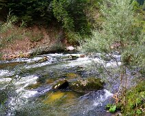 IMG_2569