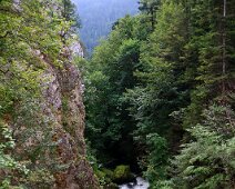 IMG_2581