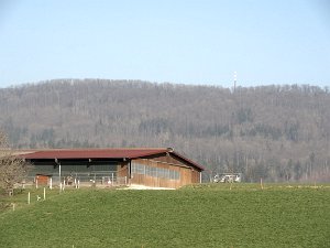 Tagestour Chestenberg Othmarsingen-Wildegg