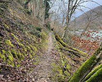 IMG-20240724-WA0002