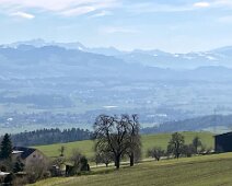 03 IMG_1651