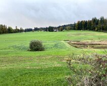 11 IMG_1416