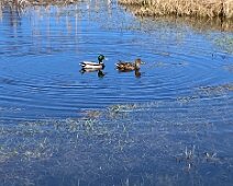 12 IMG_1661