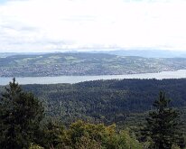 08 DSC07225