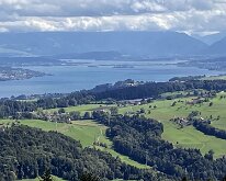 13 IMG_2394