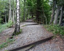 19 DSC07253