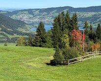 IMG_4237