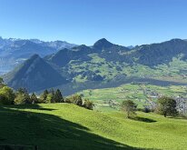 IMG_4238
