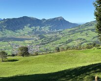IMG_4239