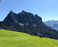 IMG_4240