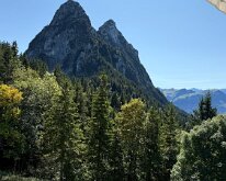 IMG_4241