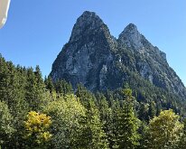 IMG_4242