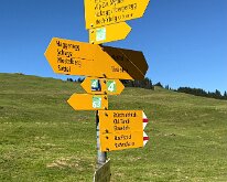 IMG_4246