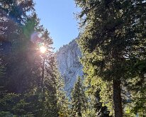 IMG_4247