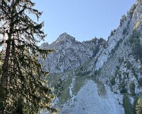 IMG_4249