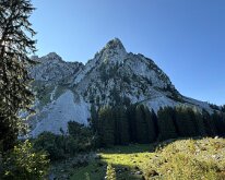 IMG_4250