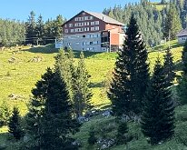 IMG_4253