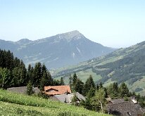 04 DSC07073