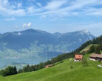 10 IMG_1290
