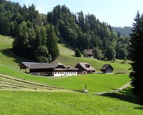11 DSC07090