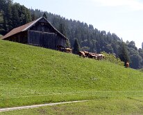 13 DSC07101