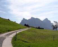 14 DSC07104