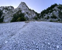 14 IMG_2435