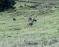 15 IMG_2437