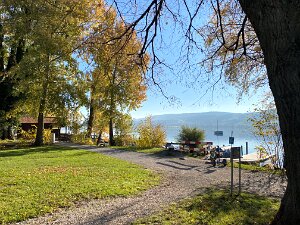 Winterwanderung Greifensee