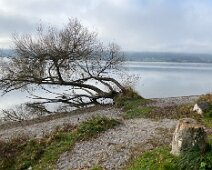 IMG_1519
