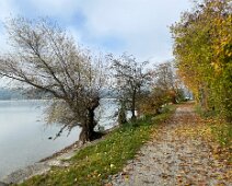 IMG_1520