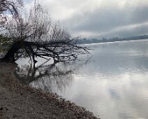 IMG_1523