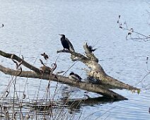 IMG_1527