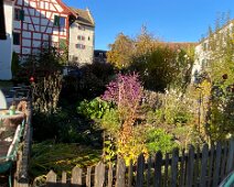 IMG_1538