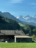IMG_8950