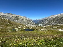 IMG_8978